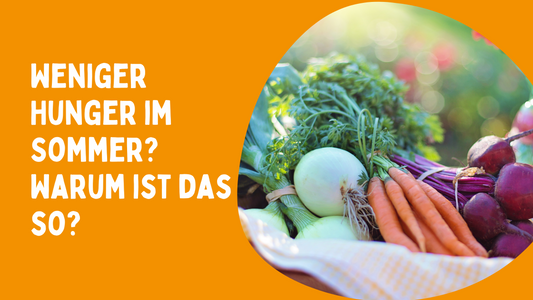 Warum wir im Sommer weniger Hunger haben