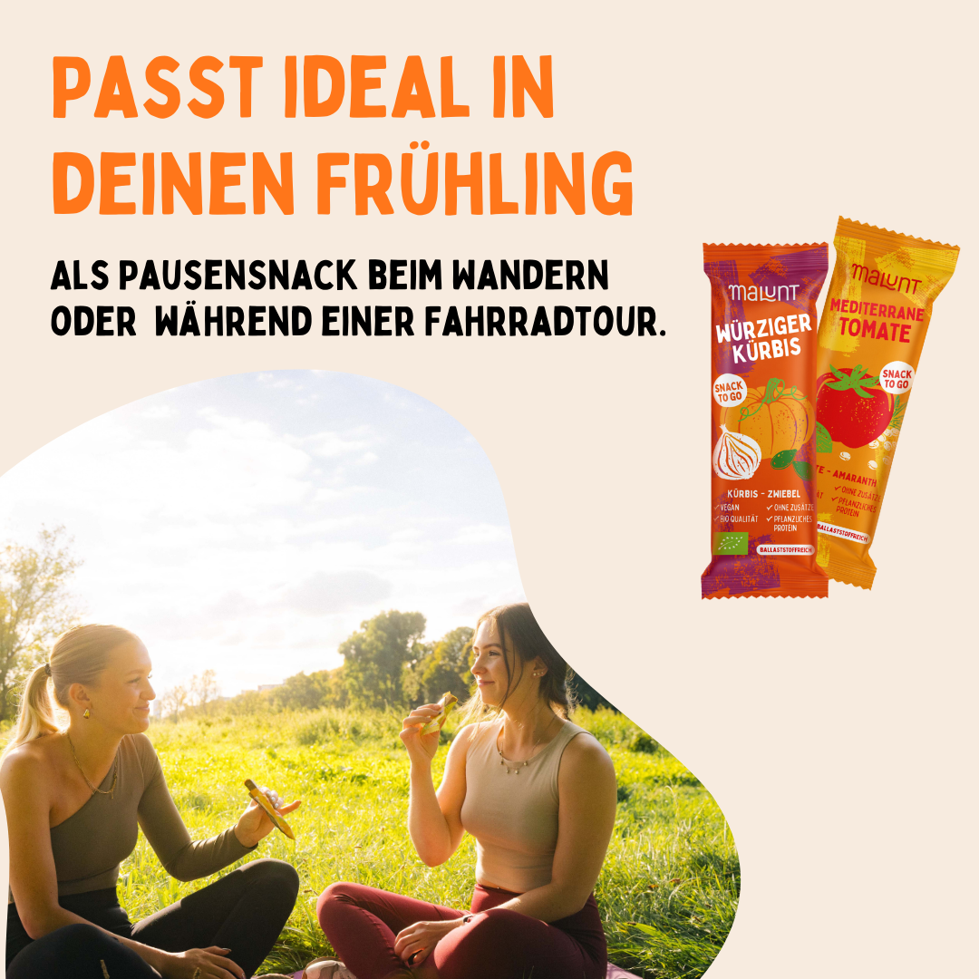 Frühling Bundle Bio-Gemüse-Riegel 24 Stück